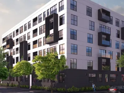 Splendor Plutarco Portales